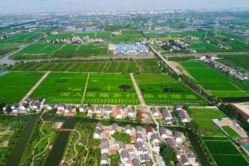 農(nóng)村人居環(huán)境整治提升5年行動(dòng)將啟！2021中央一號(hào)文件正式發(fā)布