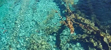 水質(zhì)怎么分類的？
